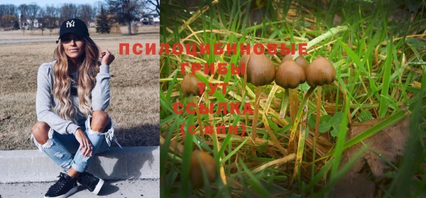 ALPHA-PVP Армянск