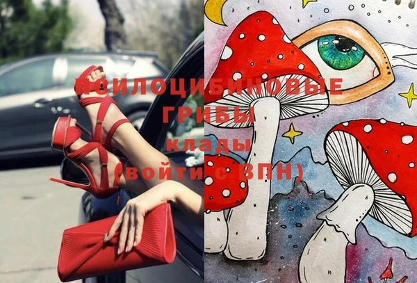 экстази Арсеньев
