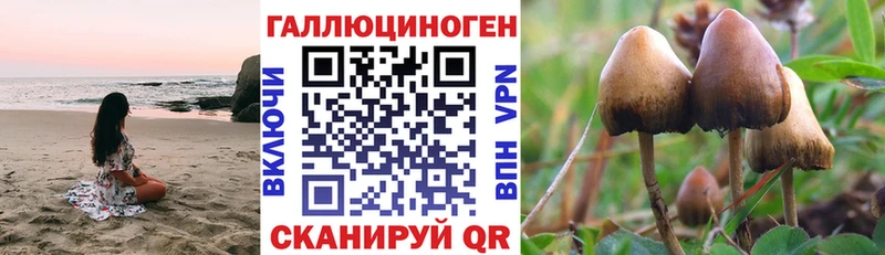 Галлюциногенные грибы мицелий  наркота  Салехард 